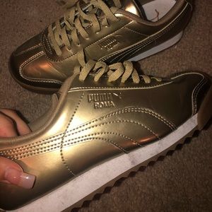 Gold pumas